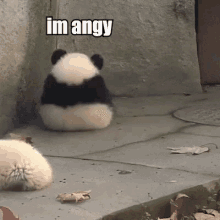 im-angy-angry.gif