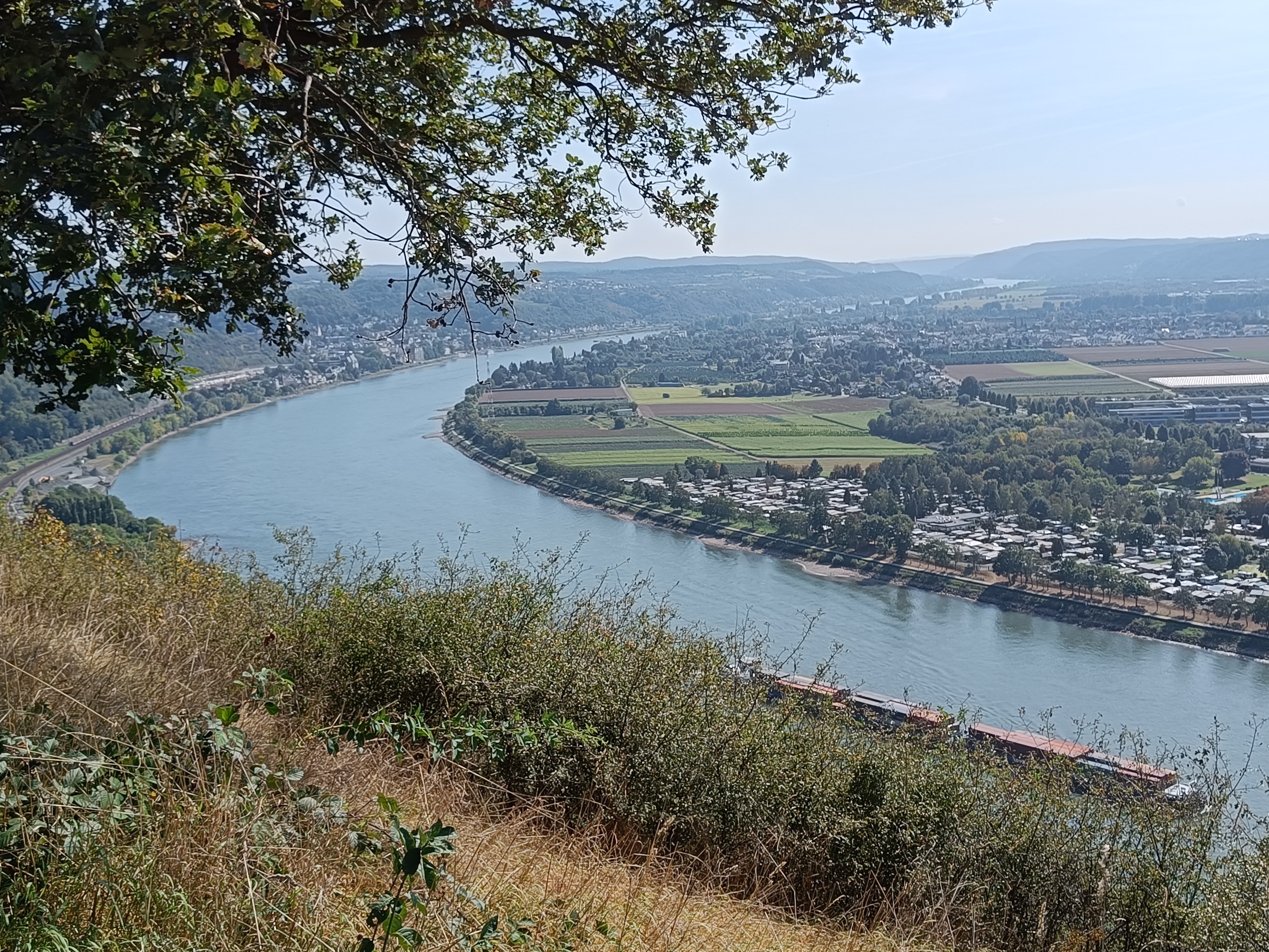 IMG20230916132345.jpg