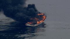 IncredibleCornyEuropeanpolecat-max-1mb.gif