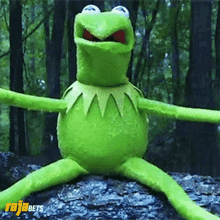 kermit-meme.gif
