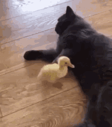 kicked out.gif