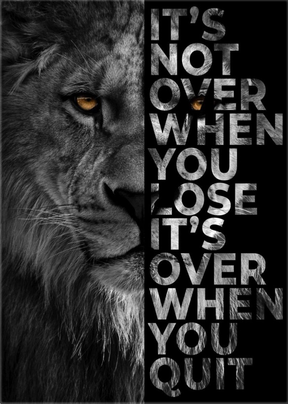 Lion.jpg