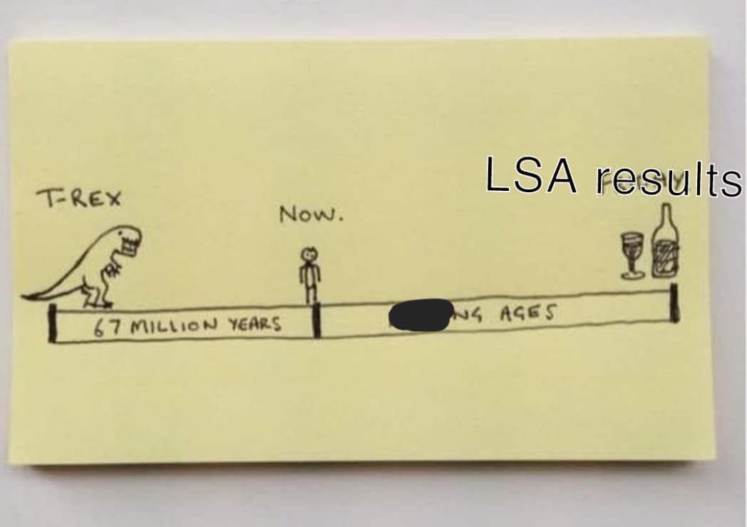 LSA.jpg