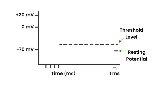 medium2.gif