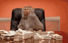 monkey-money.gif