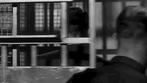N6UF.gif