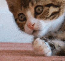 ooo.gif