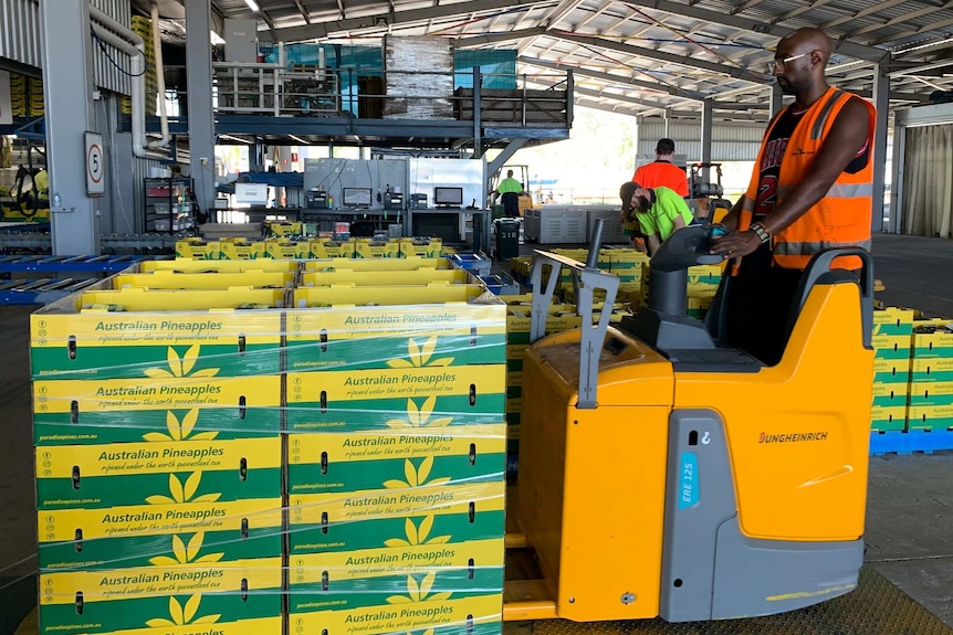 Pineapple pallet.jpg