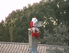 PoisedRedIberianchiffchaff-max-1mb.gif