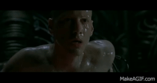 qF1NU8(1).gif