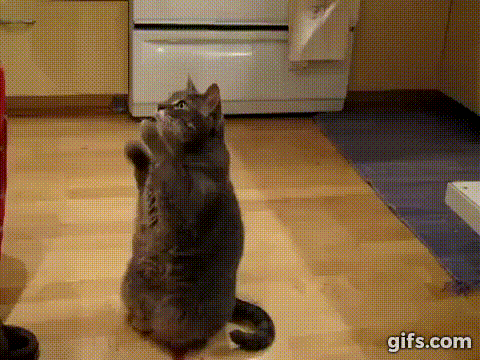 qxrGGr.gif