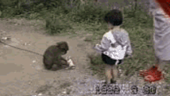 Reaa.gif