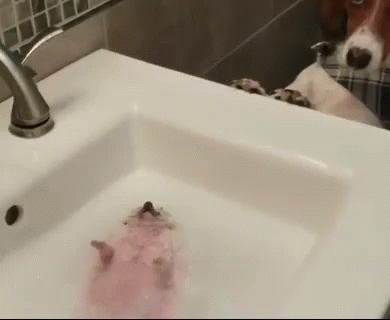 relaxing-bath.gif