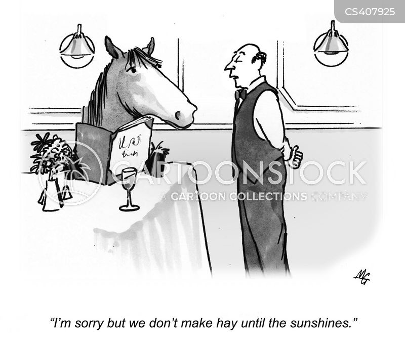 restaurants-make_hay_while_the_sun_shines-haymakers-hay_makers-hay_makers-waiter-mgdn889_low.jpeg