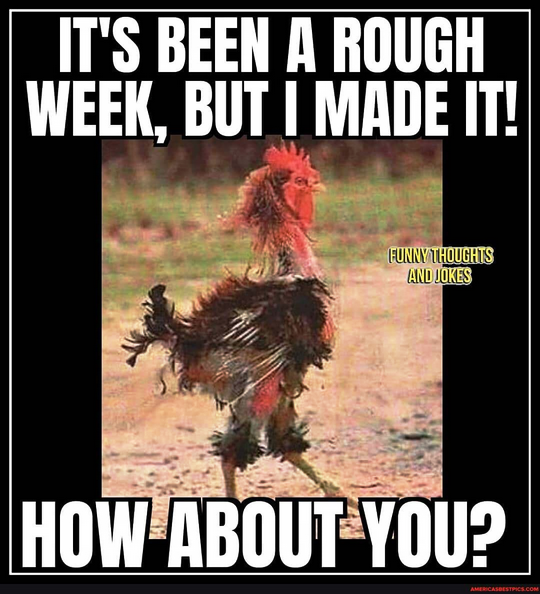 Roast chicken memes.png