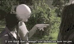scary-movie-see-how-we.gif