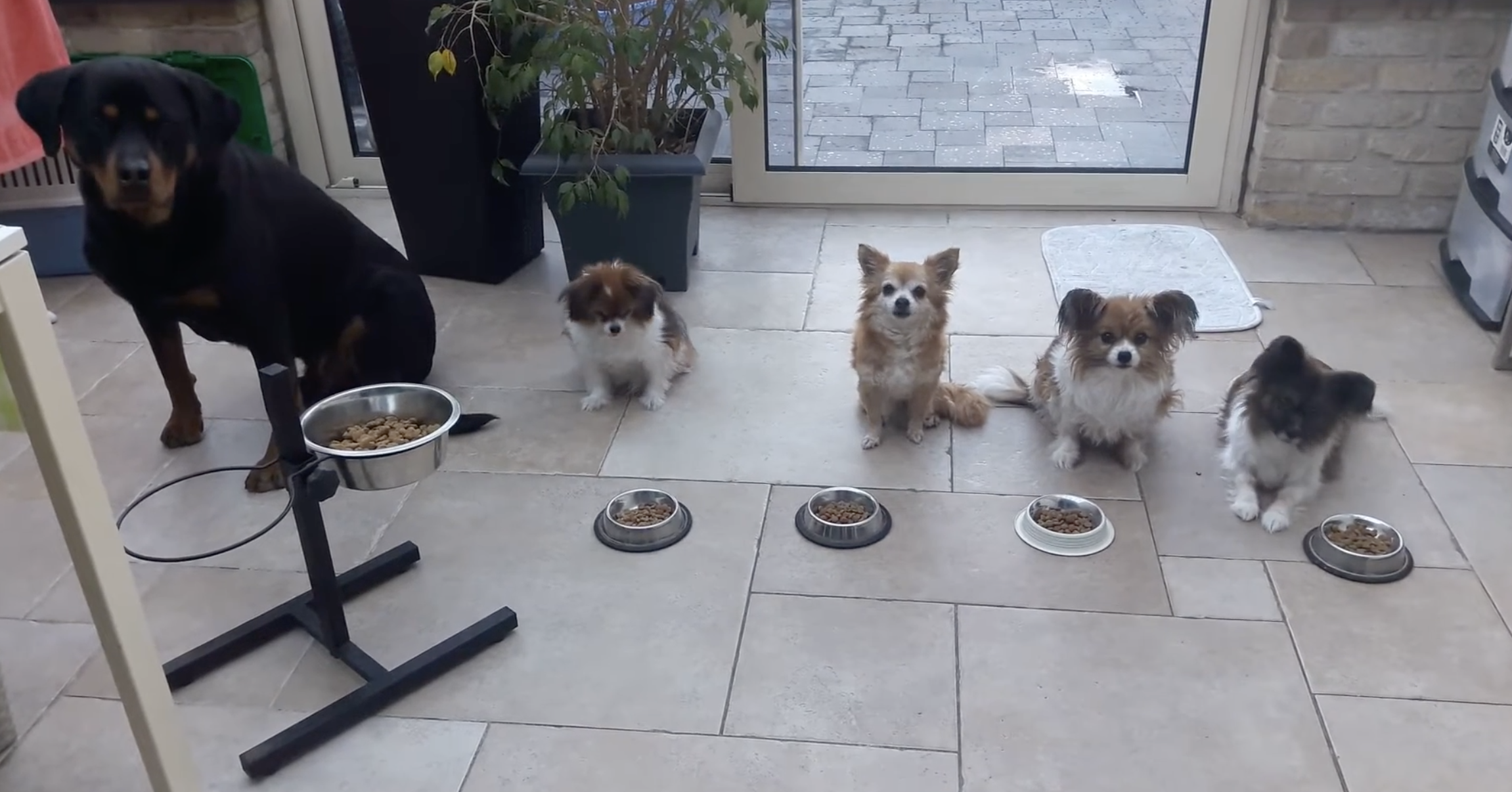 Screen Shot 2026-01-29 at 7.35.20 am.png