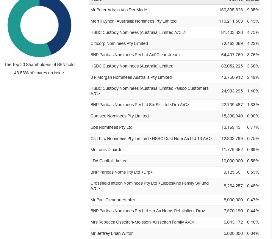 Screenshot 2022-07-12 at 23-05-14 Brainchip Holdings Ltd (ASX BRN) Share Price - Market Index.png
