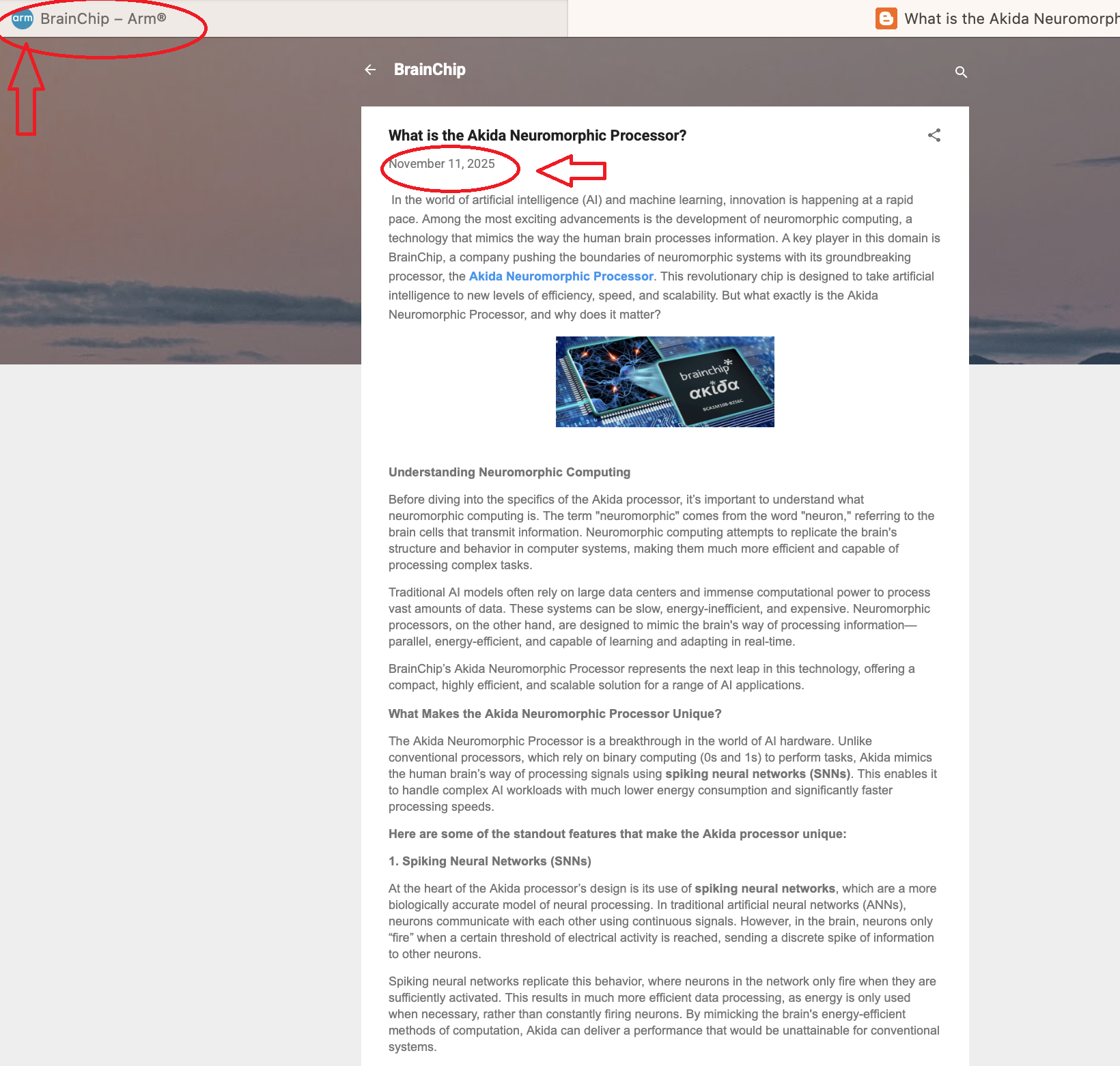 Screenshot 2025-11-12 at 8.51.18 am.png