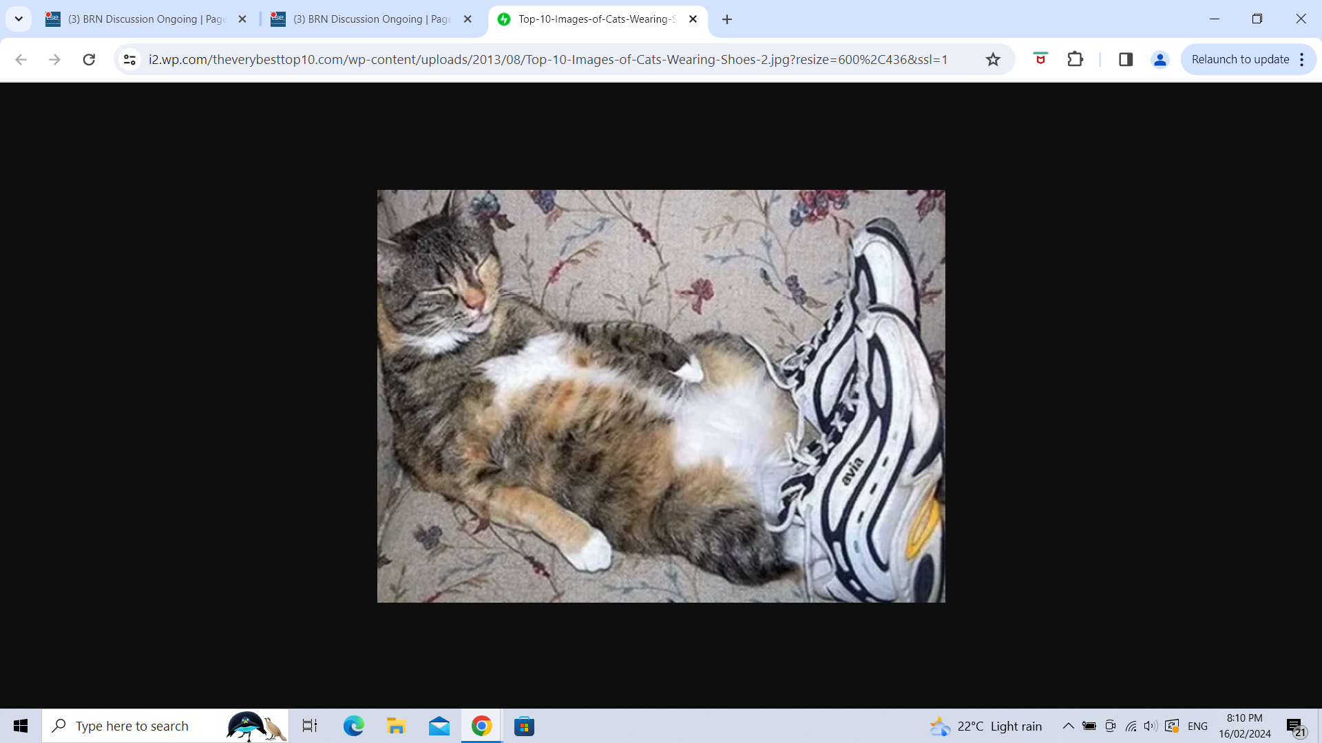 Screenshot (79).png