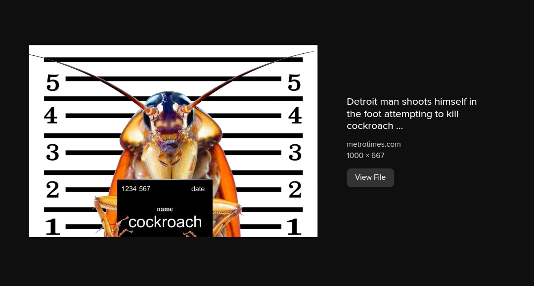 Screenshot_20221004-123119_Brave.jpg