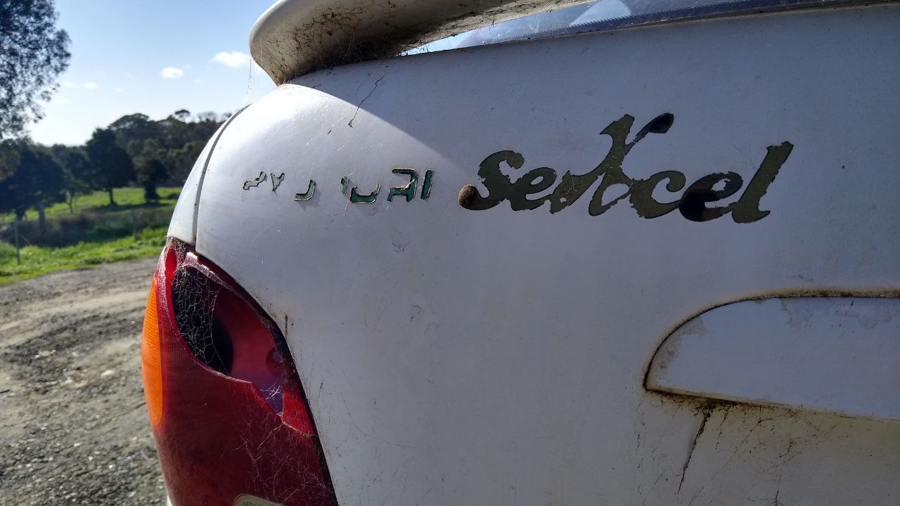 Sexcel.jpg