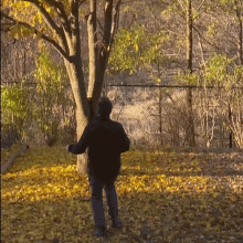 shake-the-trees-shake.gif