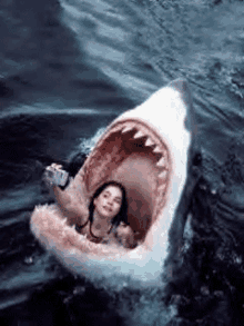 shark-jaws.gif