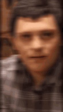 snook-snook-blurry.gif