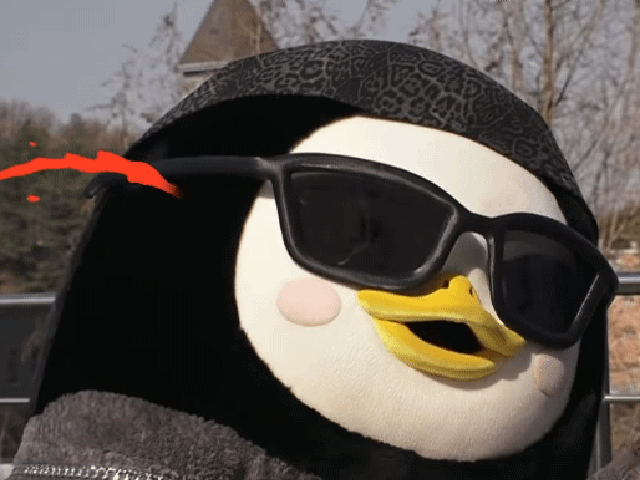 SnoopyImperfectLeopardseal-size_restricted.gif