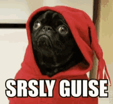 srsly-guise.gif