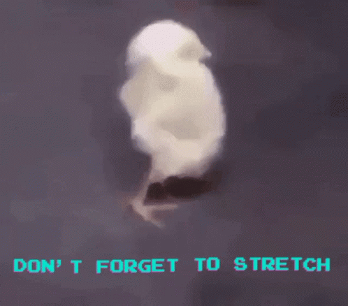 stretch-chick-stretching.gif