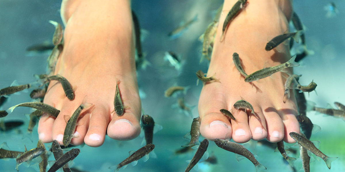 The-Health-Risks-of-Fish-Pedicure.jpg