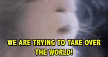 tinkles-cat.gif