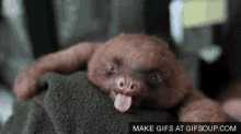 tired-af-cute.gif
