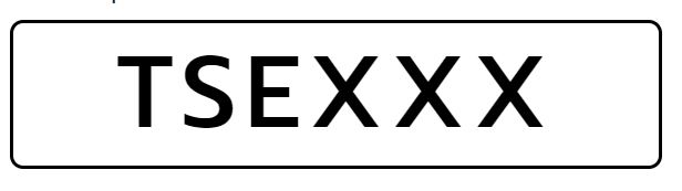 Tsex.JPG