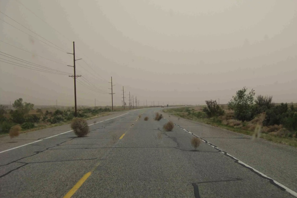 Tumbleweed.jpg