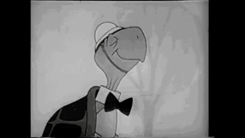 turtle-dynamite.gif