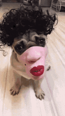 ugly.gif
