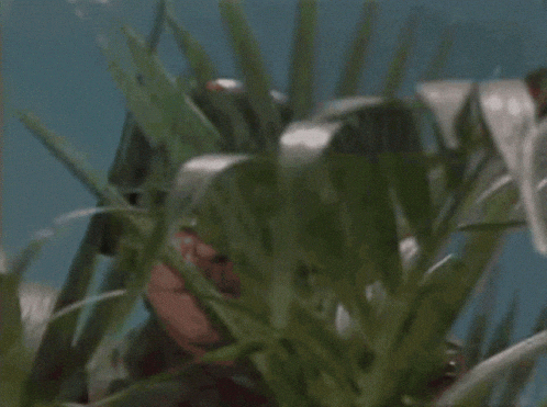 Very interesting.gif