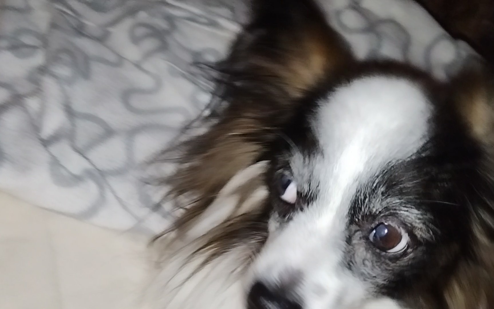 VID_20230504_190837507_exported_12761~3.jpg