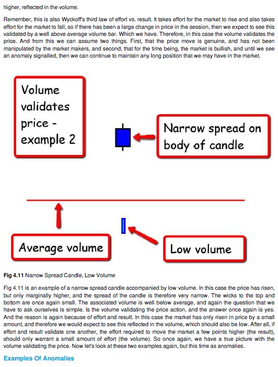 VPA EG 2.jpg