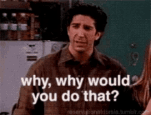 why would you do that.gif