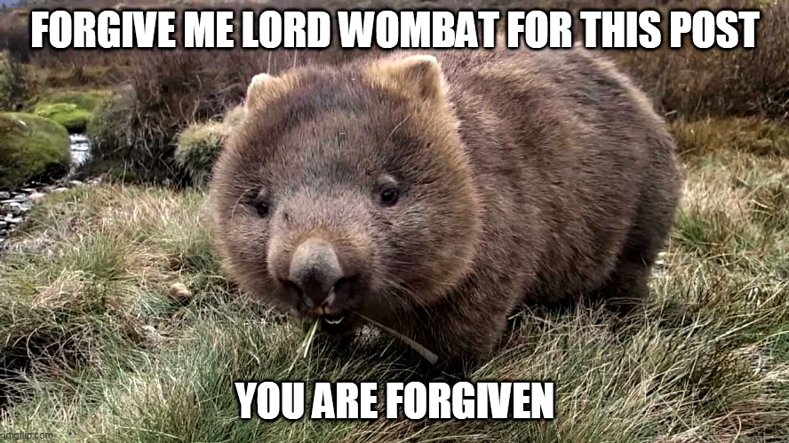 Wombat !.jpg