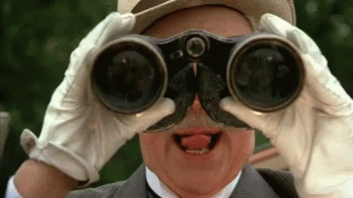 yay-spying.gif