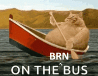 fat-cat-row-boat.gif