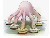 Pie.PNG