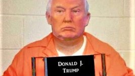 trump.jpeg