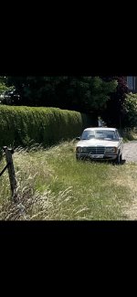 271BCBEA-2E51-400C-8483-E751A4F395E6.jpeg