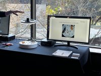 IMG_9252.jpeg